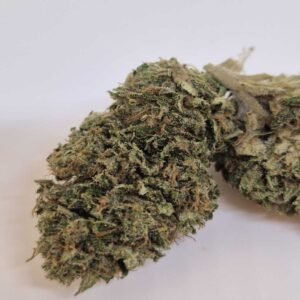 LEMON KICK - Fleurs de CBD Greenhouse 9% | Cultivé en France 🇫🇷 – Image 3