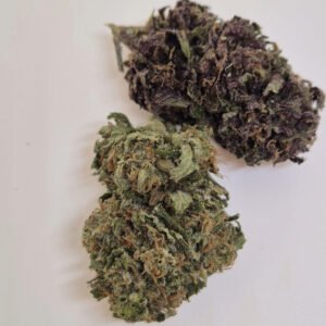 PINK PANTES - Fleurs de CBD Greenhouse 14% | Cultivé en France 🇫🇷 – Image 2