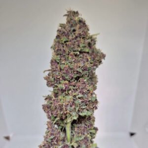 STRAWBERRY DIESEL - Fleurs de CBD Indoor 11% | Cultivé en France 🇫🇷 – Image 3