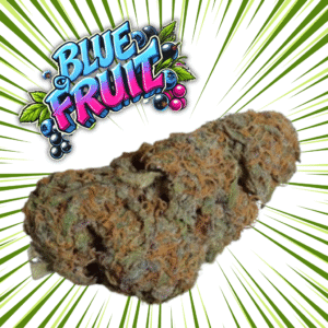 SMALLS BUDS BLUE FRUIT - Fleurs de CBD Indoor 10% | Cultivé en France 🇫🇷