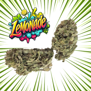 LEMONADE - Fleurs de CBD Outdoor 8% | Cultivé en France 🇫🇷