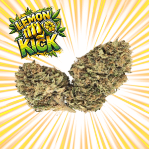 LEMON KICK - Fleurs de CBD Greenhouse 9% | Cultivé en France 🇫🇷