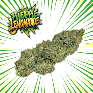 PINEAPPLE LEMONADE- Fleurs de CBD Indoor 15% | Cultivé en France 🇫🇷