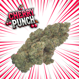 CHERRY PUNCH- Fleurs de CBD Indoor 15% | Cultivé en France 🇫🇷