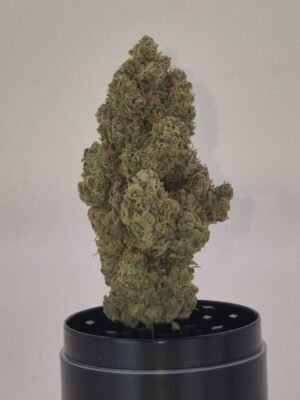 CHERRY PUNCH- Fleurs de CBD Indoor 15% | Cultivé en France 🇫🇷 – Image 6
