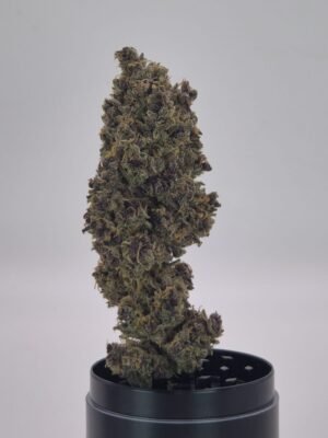 PEACH TART - Fleurs de CBD Indoor 14% | Cultivé en France 🇫🇷 – Image 5