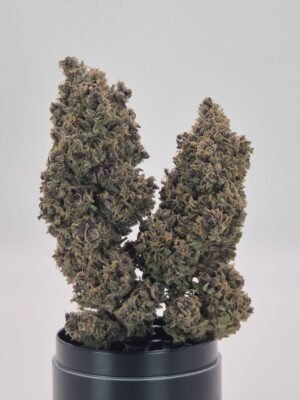 PEACH TART - Fleurs de CBD Indoor 14% | Cultivé en France 🇫🇷 – Image 2