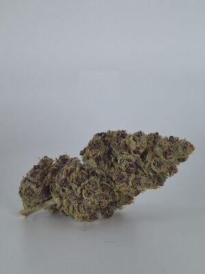 PINK MOON- Fleurs de CBD Indoor 14% | Cultivé en France 🇫🇷 – Image 3