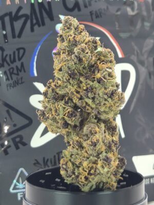 PINK MOON- Fleurs de CBD Indoor 14% | Cultivé en France 🇫🇷 – Image 5