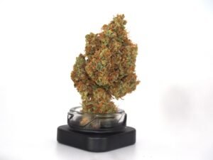 PINEAPPLE LEMONADE- Fleurs de CBD Indoor 15% | Cultivé en France 🇫🇷 – Image 2