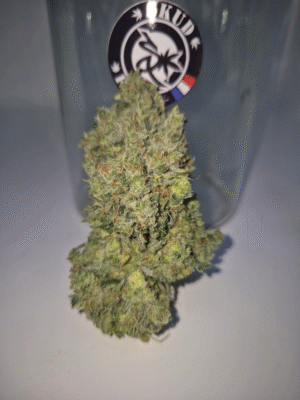 PINEAPPLE LEMONADE- Fleurs de CBD Indoor 15% | Cultivé en France 🇫🇷 – Image 7