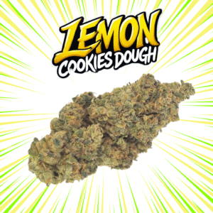 LEMON COOKIE .D - Fleurs de CBD Indoor 14% | Cultivé en France 🇫🇷