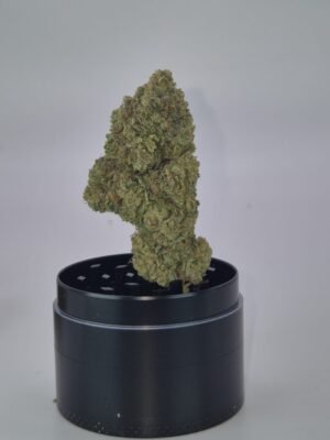 AFGHAN GLUE - Fleurs de CBD Indoor 12% | Cultivé en France 🇫🇷 – Image 4