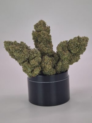 AFGHAN GLUE - Fleurs de CBD Indoor 12% | Cultivé en France 🇫🇷 – Image 5