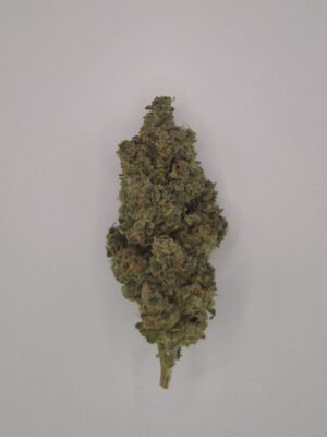 LEMON COOKIE .D - Fleurs de CBD Indoor 14% | Cultivé en France 🇫🇷 – Image 2