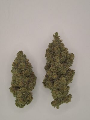 STRAW DUNK- Fleurs de CBD Indoor 14% | Cultivé en France 🇫🇷 – Image 3