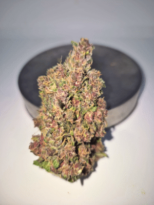 RAINBOW SHERBERT- Fleurs de CBD Indoor 15% | Cultivé en France 🇫🇷 – Image 6
